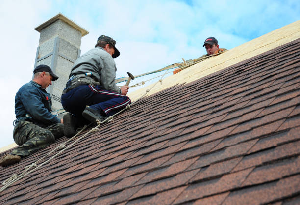 Best Gutter Installation and Roofing  in Franklin Rk, PA